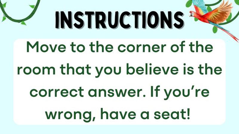 Bizarre Birds 4 Corners